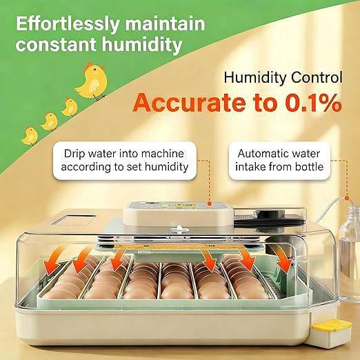 Sailnovo 48 Egg Incubator for Hatching Eggs with Auto Egg Turning, Precise Temp & Humidity Control, 360°Viewing, Egg Candler, Incubator for Chicken Eggs/Duck/Quail,Ideal for Farm/School/Lab,Green