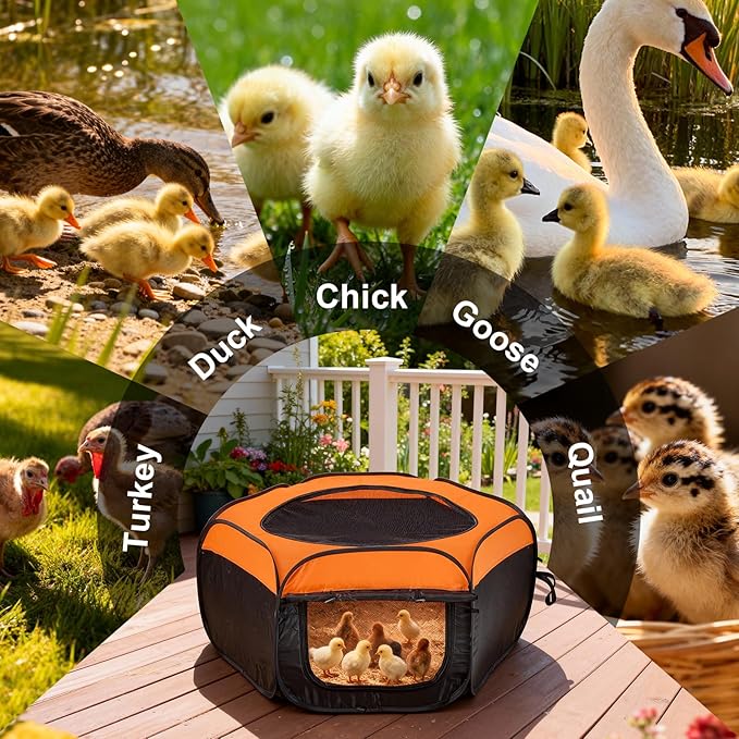Brooder Box for Chicks, Pop-Up Chicken Brooder Playpen with Dual Doors, Mesh Top Cover & Waterproof Mat, Portable Chick Enclosure for Baby Chicks, Ducks & Quail, Holds Up to 20 Chicks