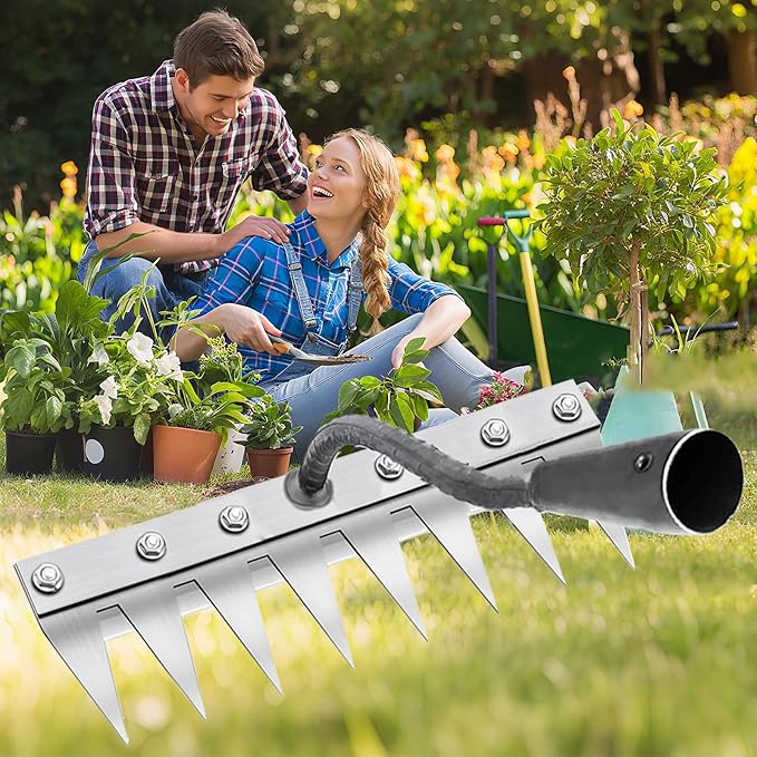 Weeding Rake for Gardening, Gardenia Iron Rakes for Backyard, Lawn, Small Farm, Rake with Sharp Metal Teeth，Heavy Duty Garden Tool for Weeding Without Handles (8 Tines)