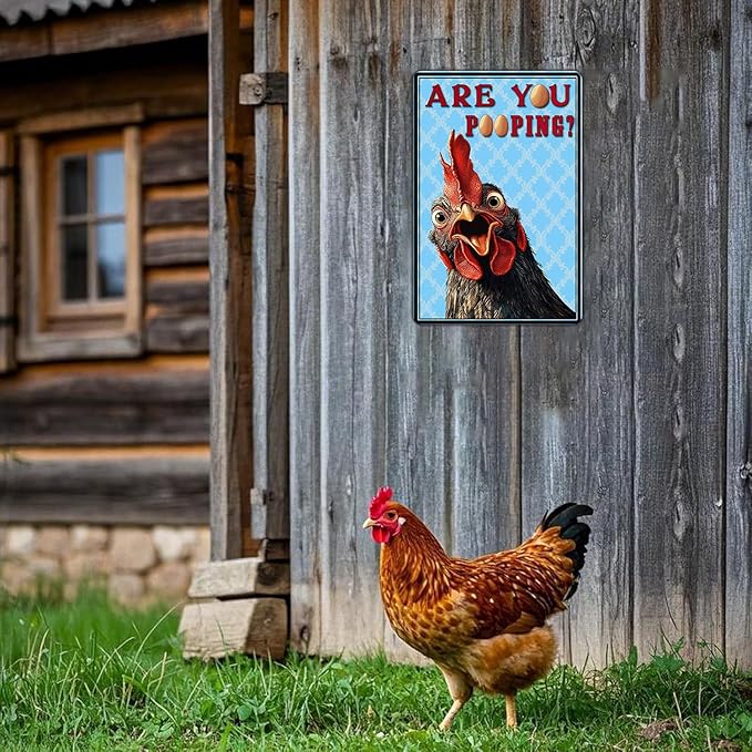 Funny Bathroom Signs Vintage Chicken Are You Pooping Metal Sign Home Chicken Toilet Wall Art Decor Humorous Restroom Kitchen Poster 12x8 Inch