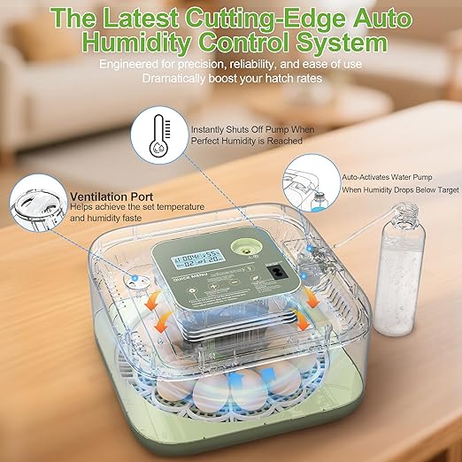 Incubators for Hatching Eggs, 12 Eggs Capacity, Egg Incubator with Automatic Egg Turning and Humidity Control for All Poultry - Chickens, Ducks, Quails, Turkeys, and More (Green)