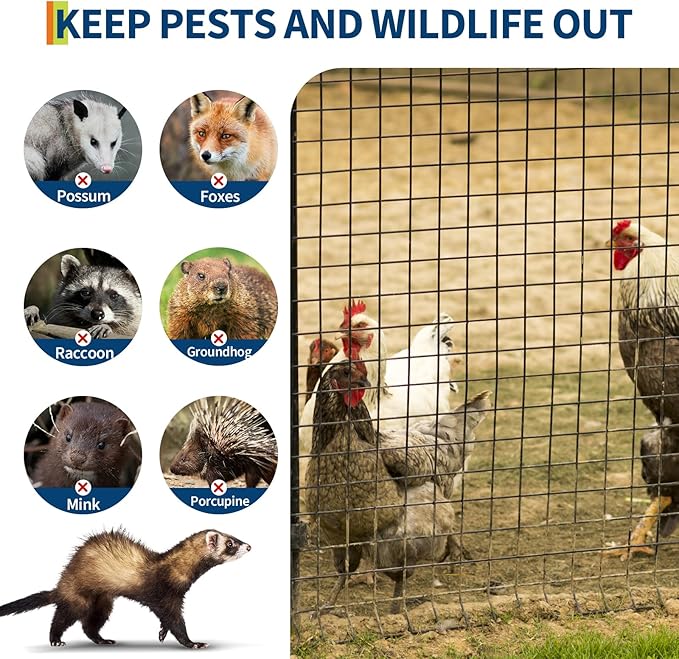 Hardware Cloth 1/2 inch - 36 in x 100 ft 19GA Black Galvanized Chicken Wire Mesh Roll, Hot-Dipped After Welding for Chicken Coop, Rabbit Cages & Garden Fencing – Poultry Netting & Chicken Wire Fencing