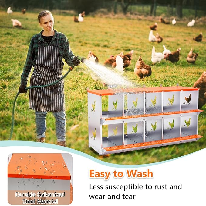 Chicken Nesting Box for Laying Eggs - 10 Room Chicken Laying Boxes, Nesting Boxes for Chickens, Heavy Duty Metal Chicken Coop (53" L x 17" W x 25" H)