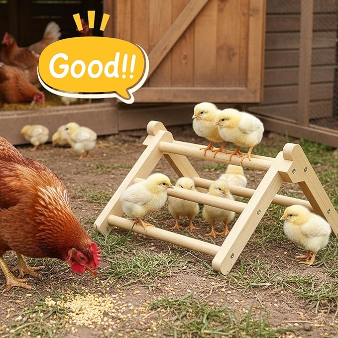 Innoland Chick Perch Foldable, Perch for Chicks Stable & No Assemble, Chick Roosting Perch for Stand Training, 11.02" × 9.84" × 6.10" Baby Chick Toys for Chicken Brooder | Coop (M)