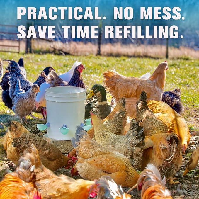 (4 Pack) Chicken Water Cups Feeder, Automatic Chicken Waterer, Anti-Leak System, Holds 50% More Water, Suitable for Chicks, Chicken, Duck, Quail, Turkey