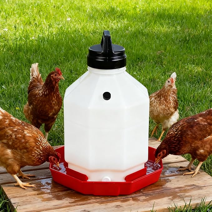 DECOHS 18 Pcs Poultry Fountain Renewal Waterer Parts, Chicken Waterer Replacement Parts Kit, Includes 12 Pcs Replacement Caps and 6 Pcs O Rings for 3/5/7 Gallon Poultry Waterers