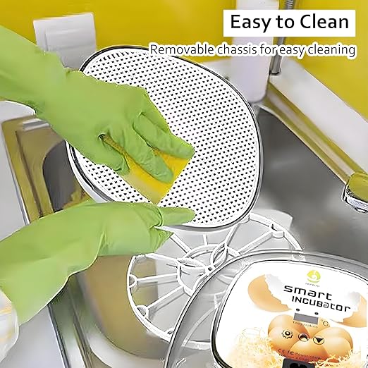 Egg Incubators for Hatching Eggs, 12 Egg Incubator Automatic Turner Humidity Control Egg Encabulator for Chicken, 360° Clear Window Incubator for Chicken Eggs, Duck, Quails, Goose Eggs