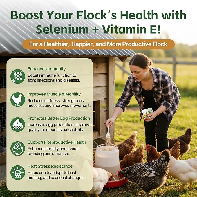 Selenium and Vitamin E Powder for Chickens – Boost Immunity, Muscle Support & Reproductive Health, Selenium for Chickens to Prevent Wry Neck & Improve Egg Production, Chicken Vitamins for All Poultry