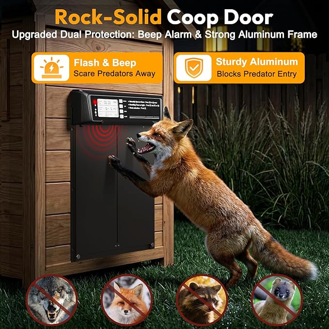 INNOLAND Large Size Automatic Chicken Coop Door Solar Powered - Timer/Manual Mode, Solar Chicken Coop Door Anti-Pinch, Aluminum Alloy Chicken Door | 20M Remote Control | Higher Battery Capacity
