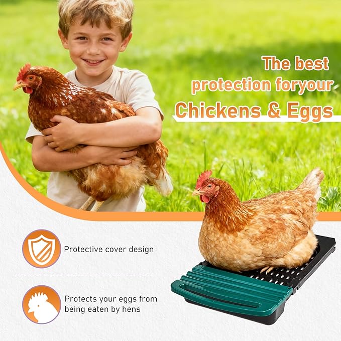 Outvita Chicken Nesting Boxes, 6 Compartments Metal Nesting Boxes for Chickens with Metal Legs, Wall/Floor Mount for Laying Eggs with Swing Perch and Roll Away Egg Collection for Chicken Coop, Green