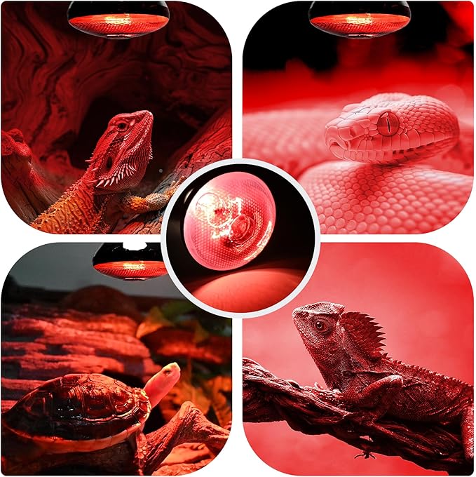 250W 2 Pack Red Reptile Heat Lamp Bulb for Chick Brooder,Infrared Heating Light Bulb for Reptiles,Chicken,Farm Animals,Bathroon,Food,Poultry,Shatterproof,E26 Base with Temperature Sticker