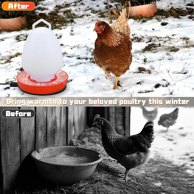 Chicken Water Heater for Winter, 11" Waterer Heated Base for 1-5 Gallon Metal Plastic Poultry Water, 110 Watt Heated Poultry Waterer with Thermostat for Chicken Duck Pigeon