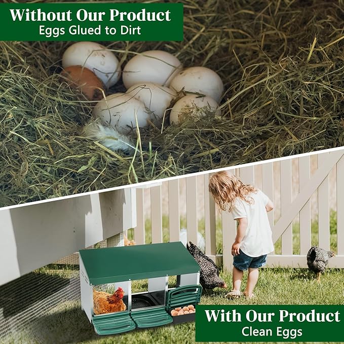 3 Compartment Roll Out Chicken Nesting Box with Plastic Basket, Egg Nest Box Chicken Laying Box Hens Chicken Coop Box with Swing Perch and Roll Out Egg Collection for Chicken Coop, Green