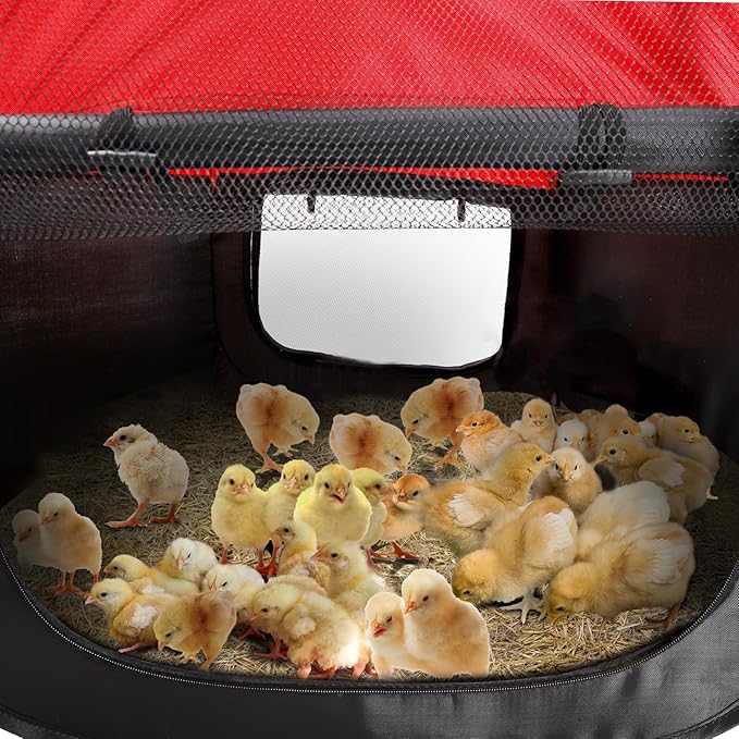 Brooder Box for Chicks - Chicken Brooder Kit with Dual Doors Design Pop-Up Playpen, Top Cover, Waterproof Mat, Storage Bag | Indoor Baby Chick Starter Kit for Ducklings, Quail & Poultry