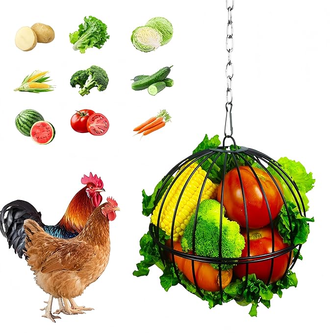 Hanging Chicken Feeder,7.4 Inch Large Chicken Vegetable Hanging Feeder,Metal Chicken Ball Cage with 19.6 Inch One Stainless Steel Chain (1 Pack)