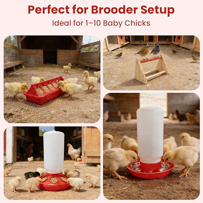 Chick Feeder & Waterer Starter Kit with 2 Trough Feeders and Roost Bar – No-Leak Baby Chick Waterer and Feeders Set for Chicks, Ducklings, Quail & Small Poultry – Essential Brooder Supplies