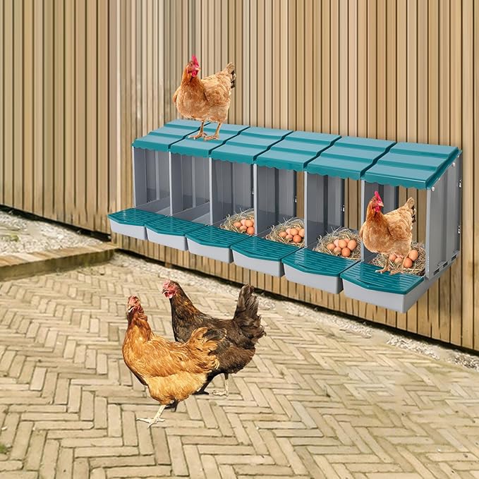 Chicken Nesting Boxes 6 Compartment PP Nesting Box with Inclined Nesting Boxes & Vented Holes Wall Mount Chicken Laying Boxes for Chicken Coop (Green)