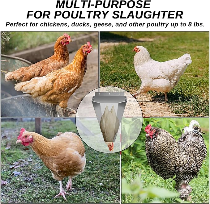 Medium Chicken Cone for Butchering, Upgraded Thickened Stainless Steel Kill Cone, Flat-Back Killing Cone for Poultry Processing, Fits Chickens up to 8 lbs, Ideal for Farm or Backyard Use (Silver)