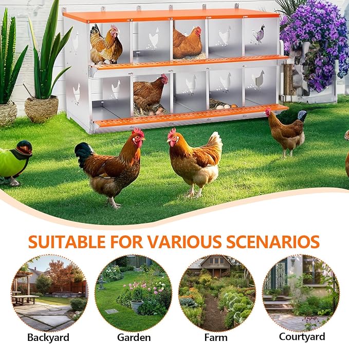Chicken Nesting Box for Laying Eggs - 10 Room Chicken Laying Boxes, Nesting Boxes for Chickens, Heavy Duty Metal Chicken Coop (53" L x 17" W x 25" H)