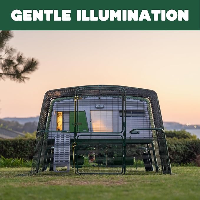 Omlet Coop Light for The Automatic Chicken Coop Door Opener | Encourages Your Flock to Roost | Add Gentle Illumination to Their House | Light Only