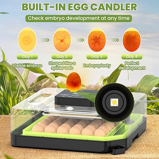 48 Egg Incubator for Hatching Eggs with Automatic Egg Turning, Temperature & Humidity Control, Egg Incubator with 360° View Window and Egg Candler, Incubator for Chicken, Duck, Quail Eggs