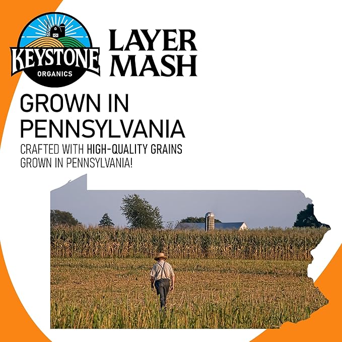 Layer Mash Chicken Feed – 44lb Bag – Non-GMO, High Calcium for Strong Eggshells – for Chickens, Ducks, Geese, Pheasants & Guineas – No Artificial Hormones