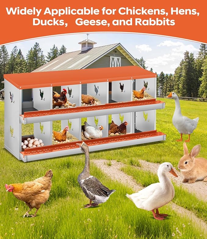10-Compartment Double-Tier Metal Chicken Nesting Box - Rollaway Egg Laying Station - Vented, Easy-Clean Design, Wall Mount or Freestanding, Includes Egg Collection Tray, Red, Double Layer 10
