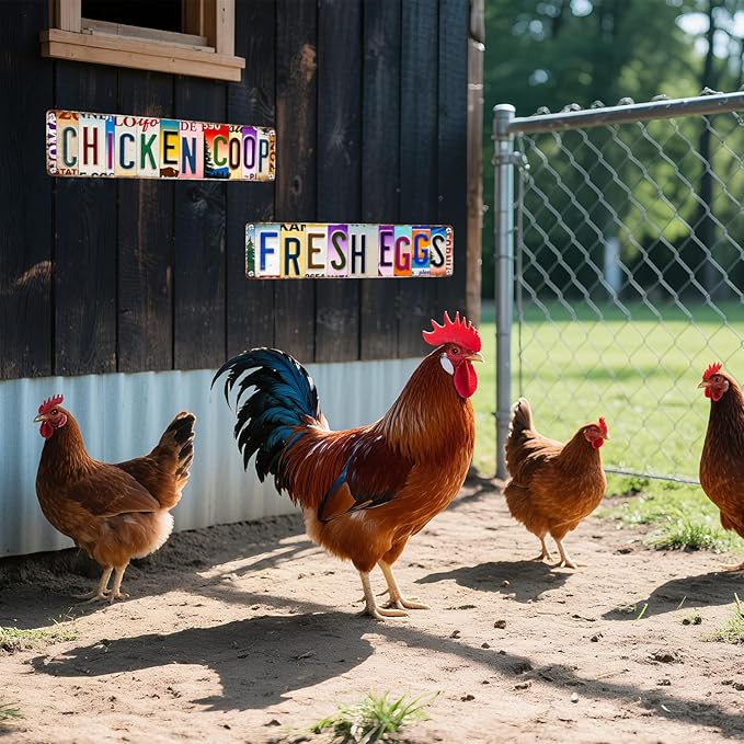 2Pcs Funny Chicken Coop Signs Chickens Sign Decor 4×16 Inch, Metal Tin Sign, Chickens Coops Accessories Garden Signs, Chicken Lovers Gift Easter Decorations Outdoor Wall Decor for Farm Yard