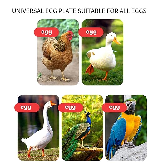 Poultry Breeding Incubator, Automatic Digital Egg Incubator with Temperature Control, 400 Eggs Capacity, 360° Roller Flipping, for Hatching Chicken Duck Goose Quail Birds (400 Pieces)