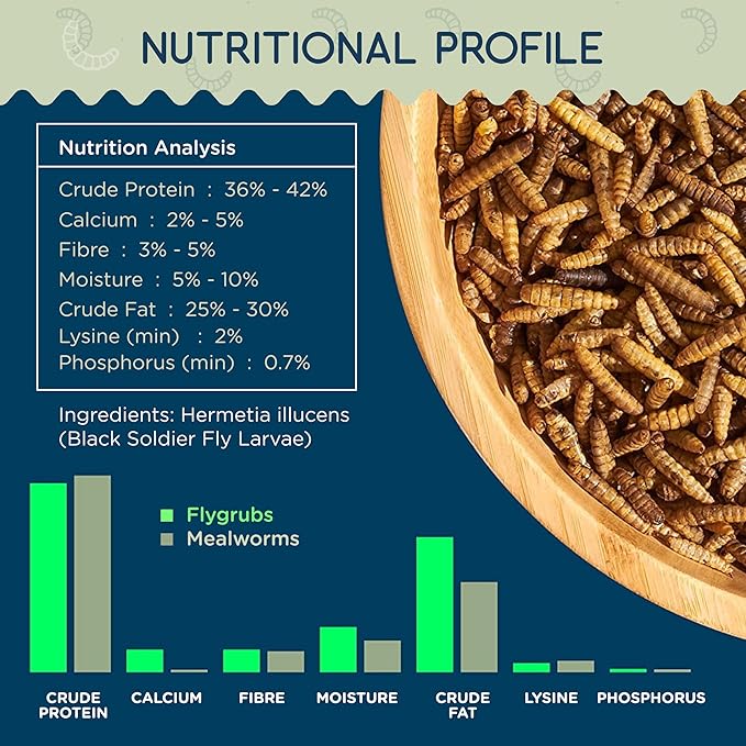 FLYGRUBS 20 lbs Dried Mealworms for Chickens – 85X More Calcium,Non-GMO,High-Protein Feed & Molting Supplement for Hens, Ducks, Turkeys, Wild Birds, Additive & Preservative Free