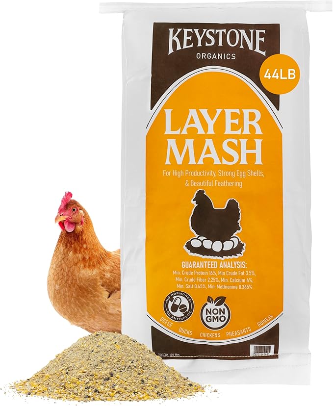 Layer Mash Chicken Feed – 44lb Bag – Non-GMO, High Calcium for Strong Eggshells – for Chickens, Ducks, Geese, Pheasants & Guineas – No Artificial Hormones