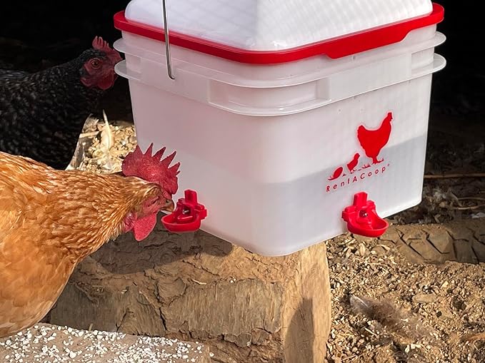 RentACoop 2 Gallon Chicken Waterer, BPA-Free Plastic Bucket Waterer Set with 4 Horizontal Nipples, Large Capacity Poultry Waterer - Center Placement