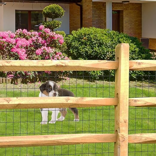 Black PVC Coated Welded Wire Fence 36 Inch x 100 Foot, 2 Inch x 3 Inch 16GA, Garden Border Fencing Roll Vinyl Coating Metal Wire Mesh for Yard Vegetable Plant Protection Poultry Netting