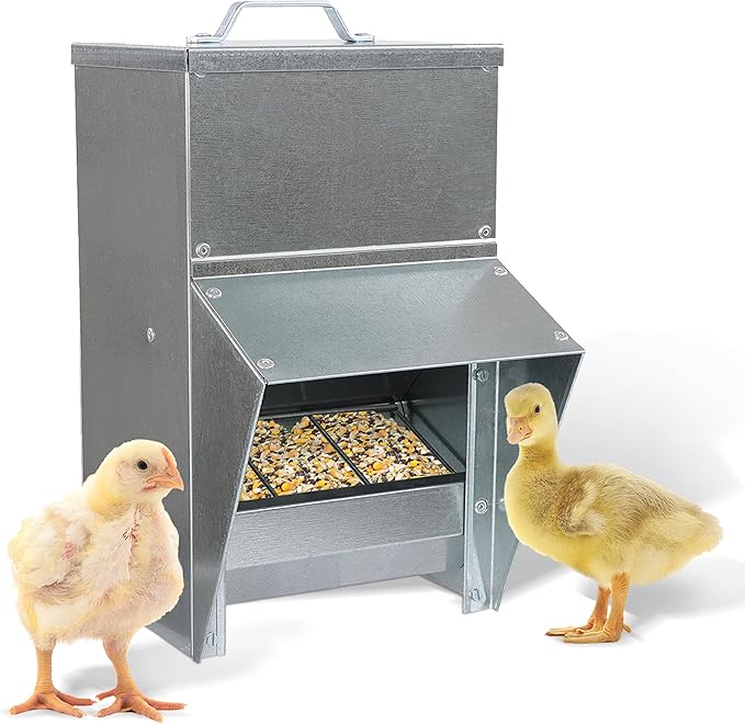 Rural365 11.5lb Capacity Galvanized Chicken Feeder - Rat Proof Poultry Feeder with Lid Weatherproof Outdoor Coop Food Dispenser