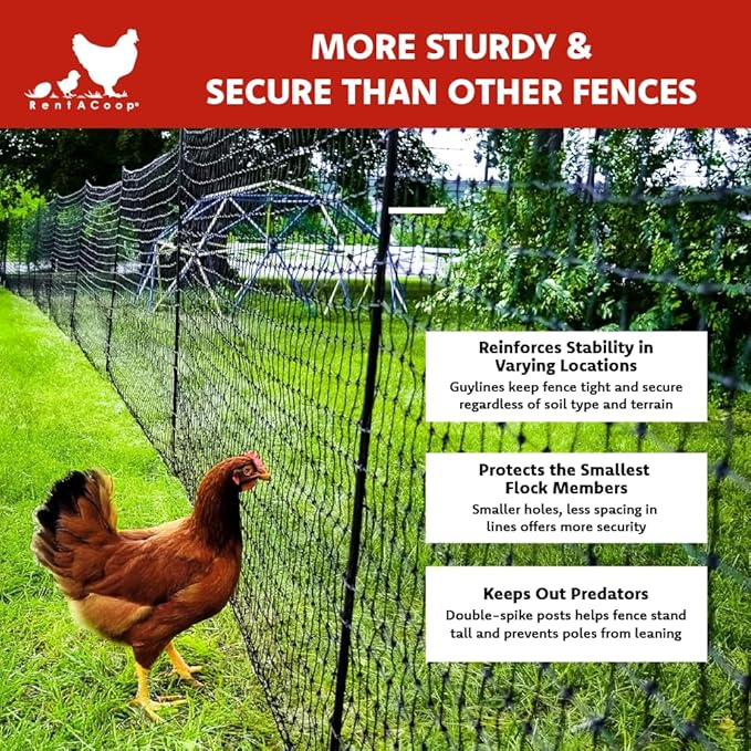 RentACoop Non-Electric Black Boundary Fence 48" x100' - Suitable for Chickens or Other Animals
