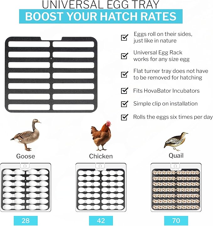 Incubator Warehouse IncuTurn™ Automatic Egg Turner for HovaBator Egg Incubators - Universal Hovabator Incubator Egg Turner Tray - Auto Egg Turner for 42 Chicken 70 Quail 28 Goose Eggs(Egg Turner ONLY)