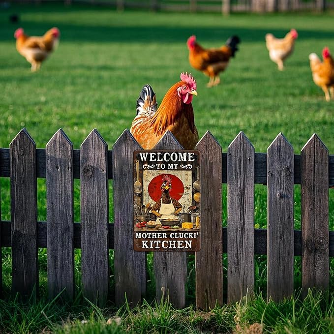 Funny Chicken Signs Welcome To My Kitchen Humorous Cartoon Rooster Cooking Aluminium Sign Metal Chicken Signs Decor Home Ktichen Farm Are Wall 12x8 Inch Vintage Chicken Signs Metal Tin Poster