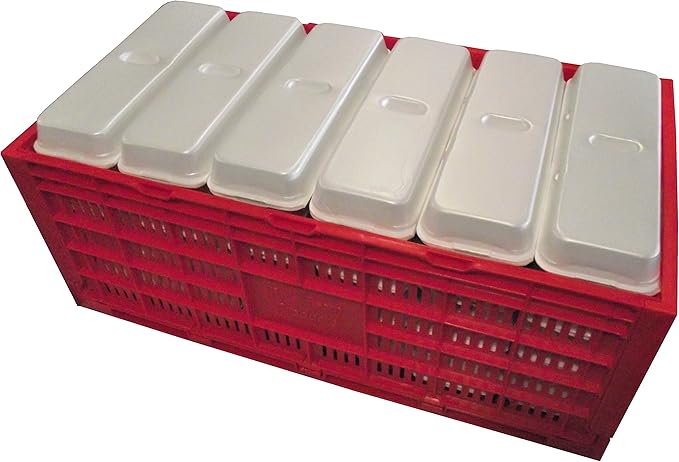 RITE FARM PRODUCTS EGG TRAY CARTON TRANSPORT CRATE CHICKEN SHIPPING POULTRY CASE
