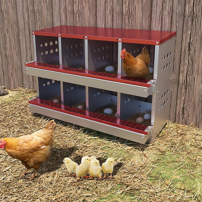 Chicken Nesting Box, 8 Compartment Roll Away Laying Box for Hens, Heavy-Duty Galvanized Steel, Front Egg Collection Tray, 8 Training Eggs Included