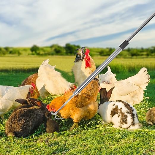 Chicken Leg Hook Catcher and Stainless Steel Net Set for Outdoor Farm Use, Thickened Poultry Handling Tool for Chickens, Ducks, and Small Animals