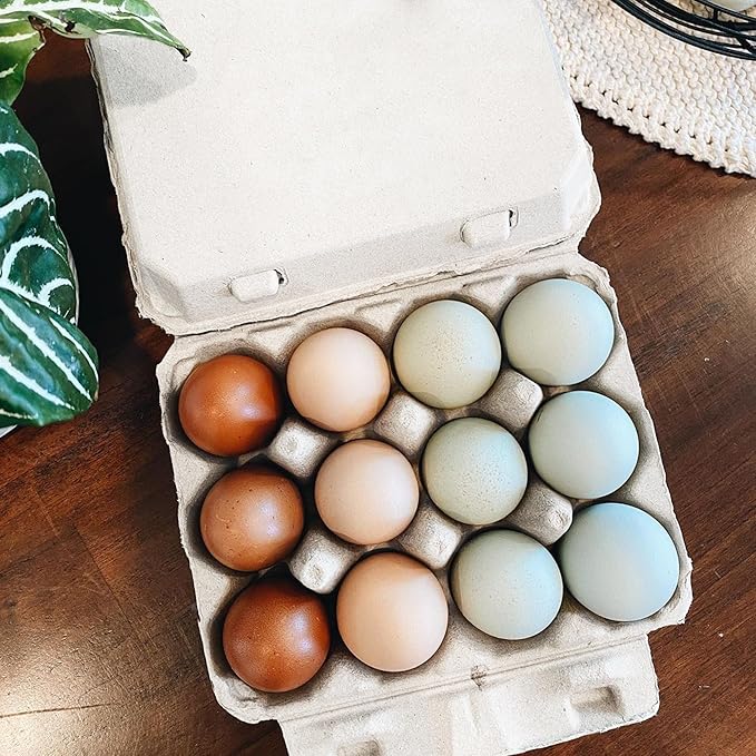 Vintage Egg Cartons for 12 Large Eggs – Classic 3x4 Layout – Durable Recycled Cardboard – Farmhouse Style – Eco-Friendly Packaging - White 25 Pack