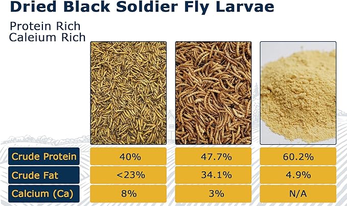 Chicken Feed Dried Black Soldier Fly Larvae, 5LB Natural Poultry Treat, 85X Calcium vs Mealworms for Laying & Molting Hens, Nutrient-Rich Feed for Ducks & Wild Birds, Reptiles