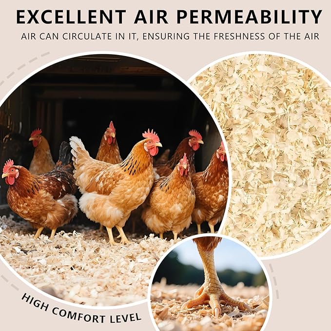 Pine Shavings | Wood Shavings | Chicken Coop Bedding | All Natural | Chicken Coop | Chickens Bedding | Pet Beddings | Small Animal Beddings | Odor Contro (6 LB)