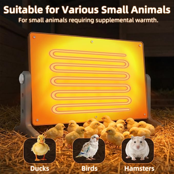 Chick Brooder Heater Plate – 12" x 8" Adjustable Height & Temperature Poultry Warmer for Up to 10 Chicks, Brooder Heating Plate for Chicks and Ducklings, Orange