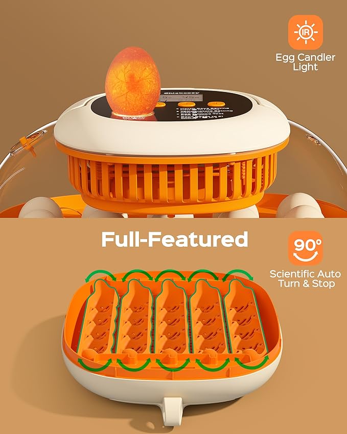 Chickcozy 25 Egg Incubator, Automatic Egg Turner with Thermometer Seat and Humidity Control, Egg Candler, 360° View with Clear Window, Incubators for Hatching Chicks (Sunlit Orange)