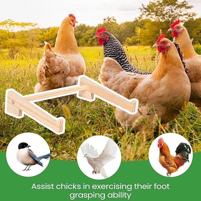 Chicken Roosting Bar, – Wooden Pets Perch Stand, Hen Chicks Birds Parrot, Play Perching Training Support Brooder | Hen Chicks Birds Parrot Play Perching Training Support Brooder Coop