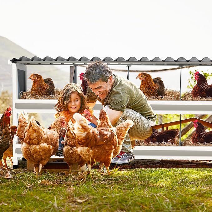 Chicken Nesting Boxes,8 Compartments Wooden Nesting Boxes for Chickens,Laying Boxes for Hens Ducks Poultry Protect Eggs Chicken Coops Easy Egg Collection (8 Hole)