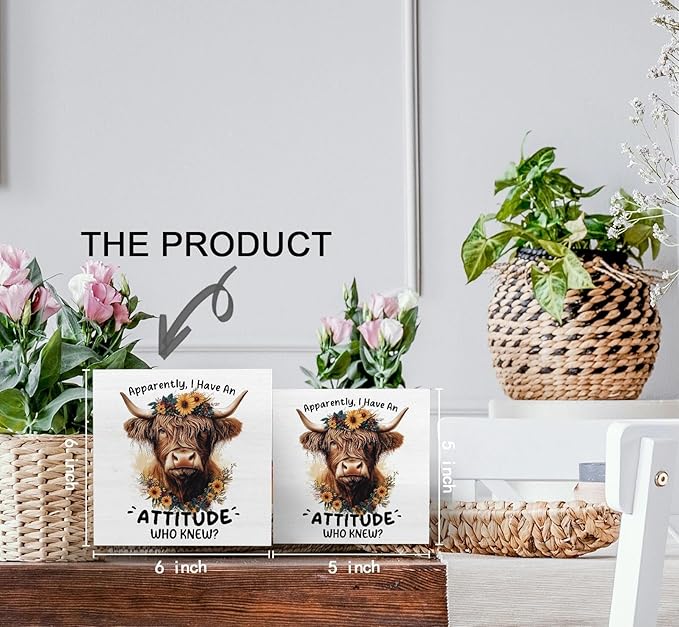 Highland Cow Sign, Farm Cottagecore Animal Office Kitchen Bedroom Decor, Apparently I Have an Attitude Who Knew Wooden Box Signs, Apparently Highland Cow Gifts for Women Men 6x6 in Decorative Signs & Plaques