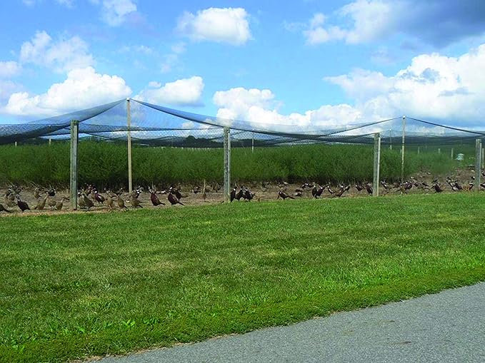 Stromberg’s 2” Mesh Heavy Duty Knotted Aviary Netting, UV Resistant Polyethylene Fiber for Game Birds, Pheasants & Poultry, 85 Lbs Break Strength Durable Against Weather and Predators
