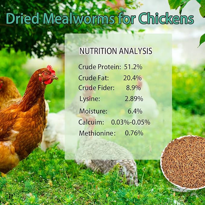KAYHEN Dried Mealworms for Chickens 20LB Pure Natural Non-GMO High Protein Feed Meal Worms for Laying Hens Wild Birds